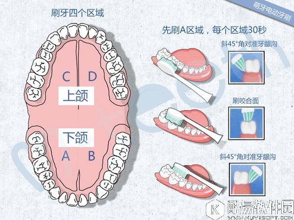 电动牙刷如何使用？电动牙刷的正确使用方法图解