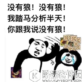 天天狼人杀萌新玩家的聊天神逻辑