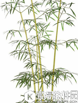 阴阳师万年竹信物线索介绍