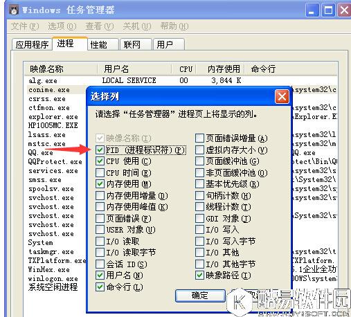 WinHex查找下载器真实下载链接方法