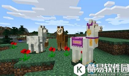 我的世界羊驼驯服方法介绍