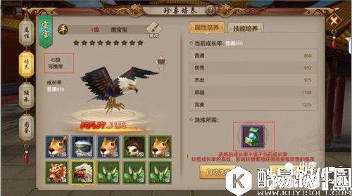 天龙八部珍兽宝宝怎么洗练 珍兽洗练分析