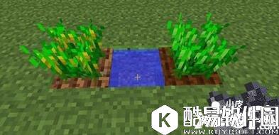 我的世界豆曲怎么获得 豆曲有什么用