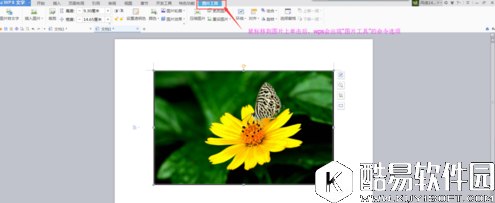 wps文字怎么给图片加边框 wps文字给图片加边框教程