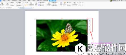 wps文字怎么给图片加边框 wps文字给图片加边框教程