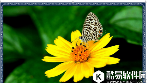 wps文字怎么给图片加边框 wps文字给图片加边框教程