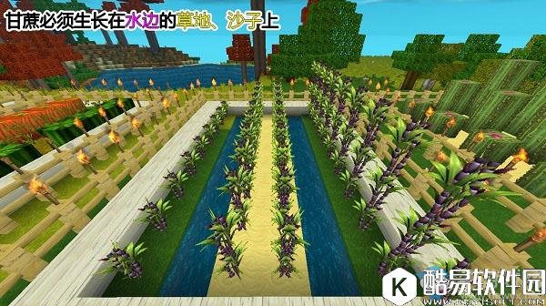 迷你世界甘蔗怎么获得