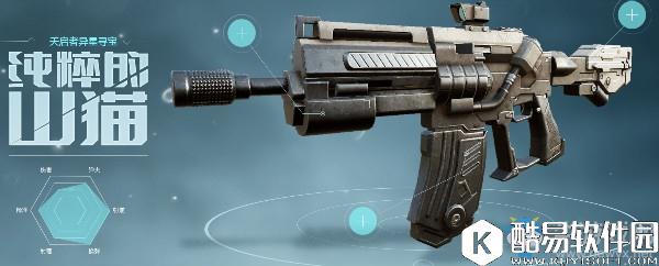 永恒边境全枪械图鉴介绍