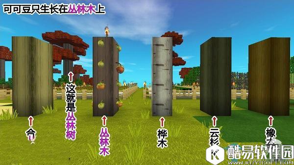 迷你世界可可豆种植方法
