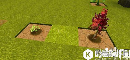 迷你世界树苗花种怎么用 怎么种花种树