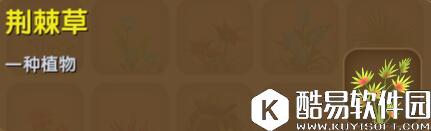 迷你世界荆棘草合成表详情 荆棘草怎么获得