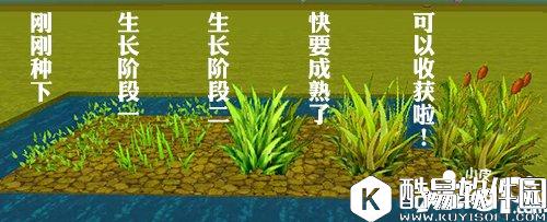 迷你世界如何开垦耕地种麦子 怎么种麦子