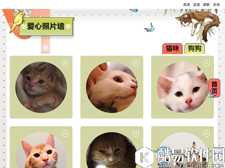 阴阳师上海领养日公益活动介绍