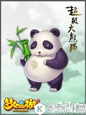 梦幻西游超级大熊猫属性图鉴 超级大熊猫资质一览