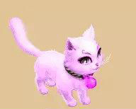 梦幻西游元音狸染色有几种 元音狸染色效果一览