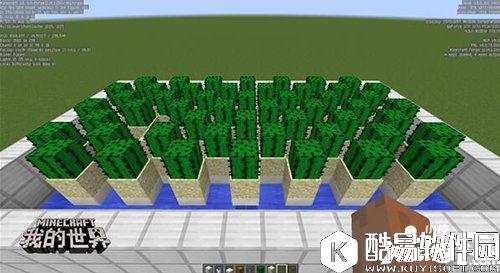 我的世界全自动仙人掌塔制作指南 全自动仙人掌塔怎么建