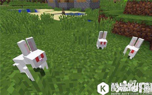 我的世界稀有掉落物有哪些 稀有掉落物怎么得