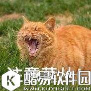 兰陵王VS孙悟空！谁才是王者荣耀S9赛季最佳上分打野？