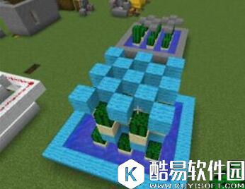 我的世界手游版仙人掌收割机教程