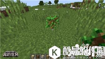 我的世界植物妙用 我的世界植物指南