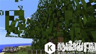 我的世界植物妙用 我的世界植物指南