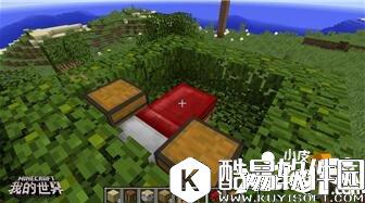 我的世界植物妙用 我的世界植物指南