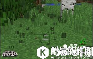 我的世界植物妙用 我的世界植物指南