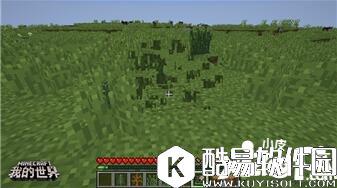 我的世界植物妙用 我的世界植物指南