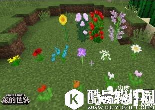 我的世界植物妙用 我的世界植物指南