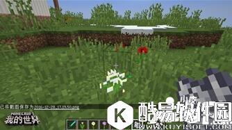 我的世界植物妙用 我的世界植物指南