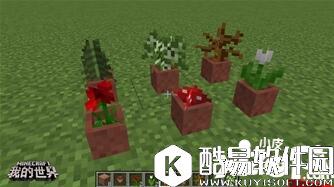 我的世界植物妙用 我的世界植物指南