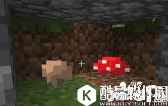 我的世界植物妙用 我的世界植物指南