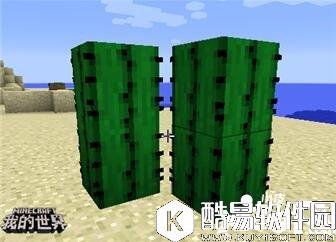 我的世界植物妙用 我的世界植物指南