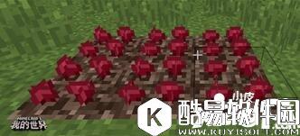 我的世界植物妙用 我的世界植物指南