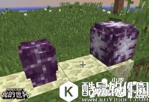 我的世界植物妙用 我的世界植物指南