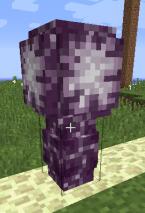 我的世界植物妙用 我的世界植物指南