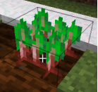 我的世界无需合成的食物 食物的妙用