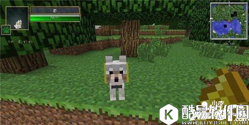 我的世界最难驯服的三种生物 哪些生物难驯服