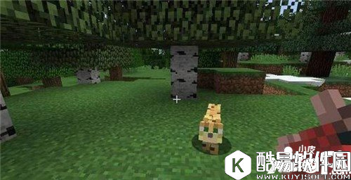 我的世界最难驯服的三种生物 哪些生物难驯服