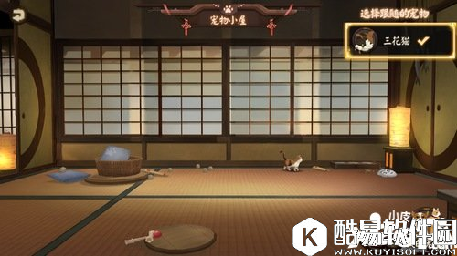 阴阳师宠物后院怎么玩 宠物后院玩法详解