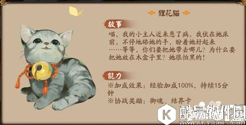阴阳师狸花猫怎么样 狸花猫获得攻略