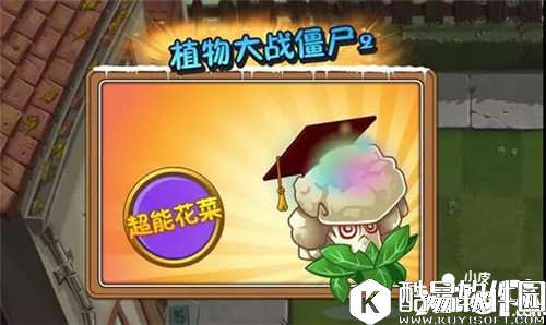 植物大战僵尸2花菜兄弟 傻傻分不清楚