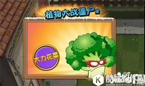 植物大战僵尸2花菜兄弟 傻傻分不清楚
