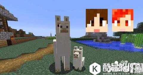 我的世界驯兽和繁殖 发家致富的方法