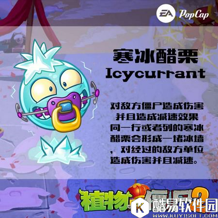 植物大战僵尸2寒冰醋栗图鉴 寒冰醋栗属性技能