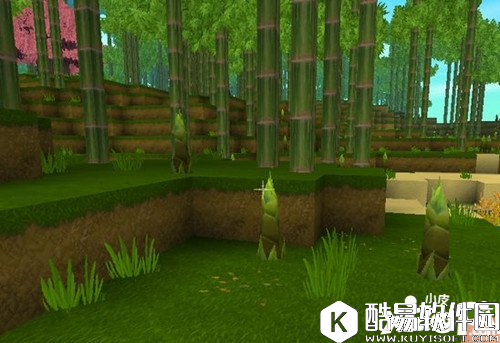 迷你世界竹林在哪 竹林位置详解