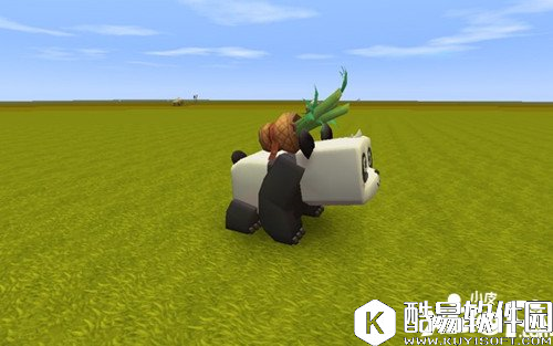 迷你世界熊猫怎么繁殖 迷你世界熊猫繁殖方法