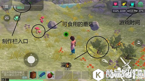 创造与魔法生存攻略 游戏生存技巧解析