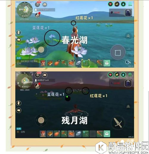 创造与魔法莲花获取方法详解 红蓝莲花怎么得到