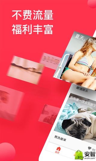 头条视频-应用截图